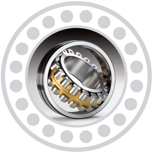Bearings Image
